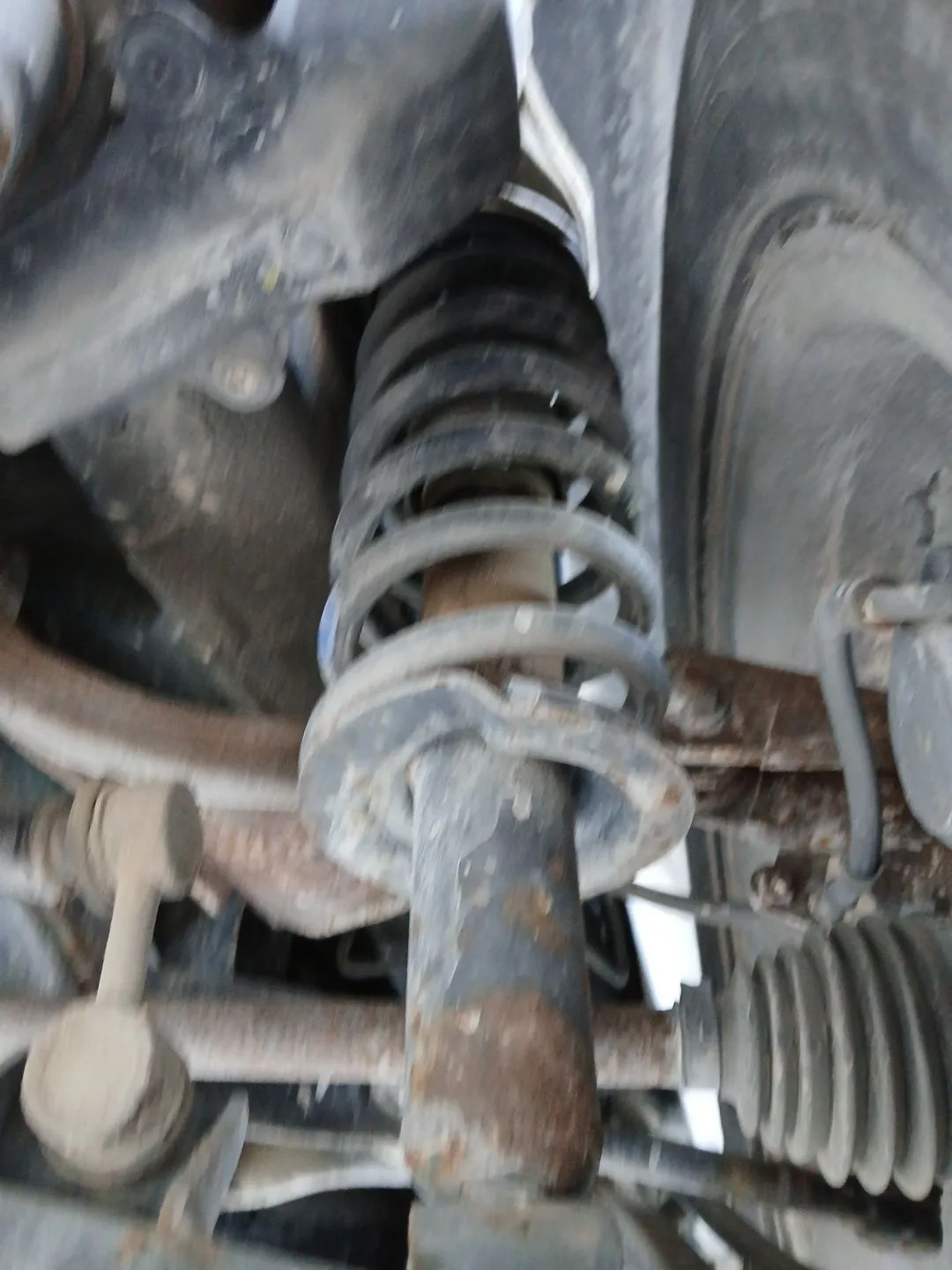 Amortiguador Trasero Derecho para Subaru Tribeca (B9)