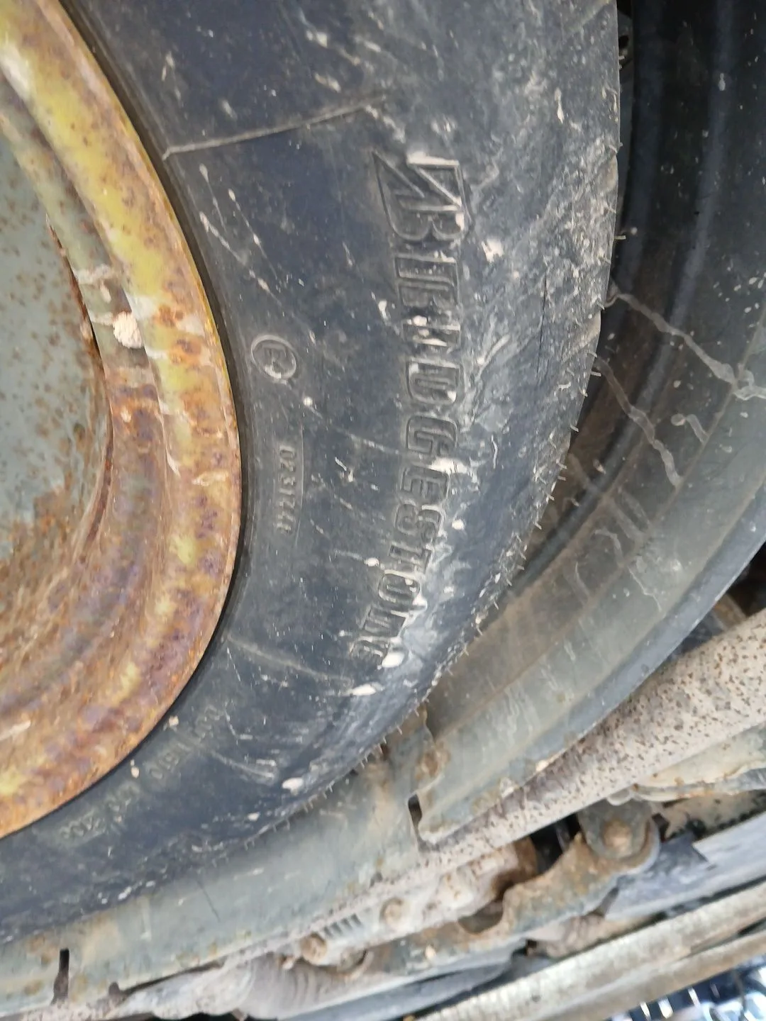 Neumatico Repuesto para Subaru Tribeca (B9)