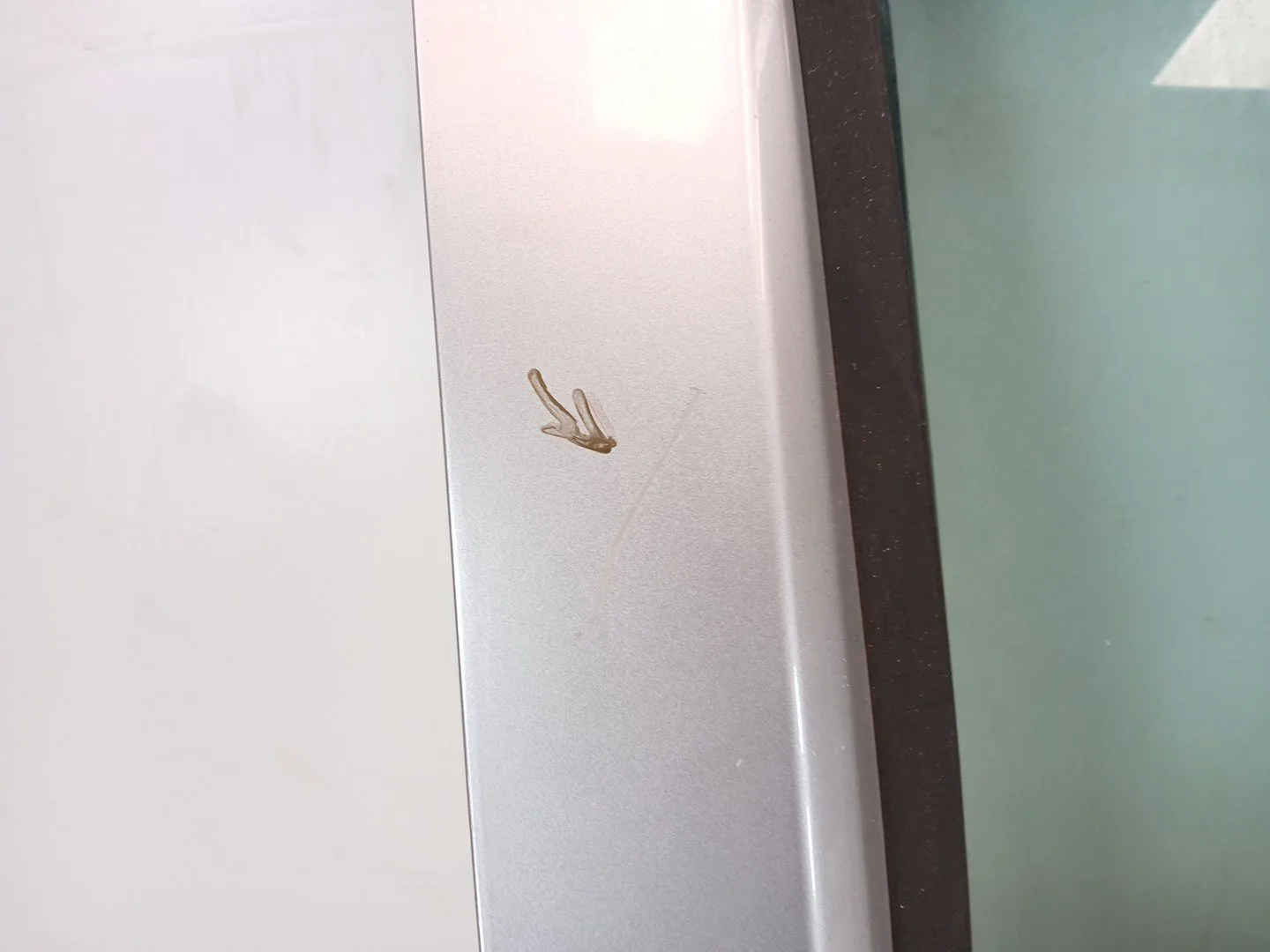 Puerta Delantera Derecha para Nissan Pathfinder Iii (R51)