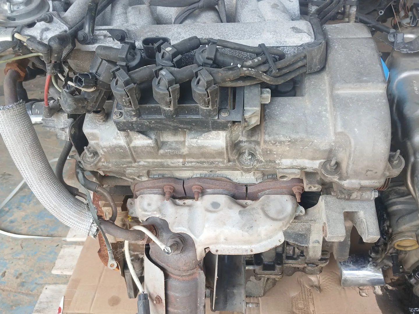 Despiece Motor para Ford Cougar (Mc)