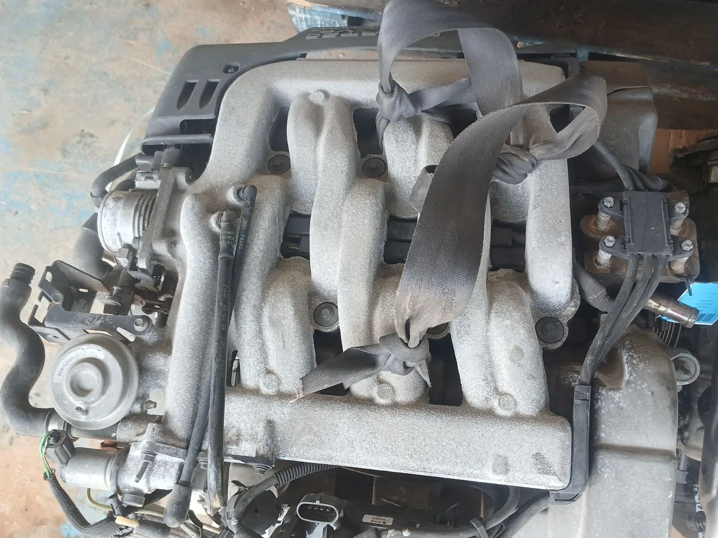 Despiece Motor para Ford Cougar (Mc)