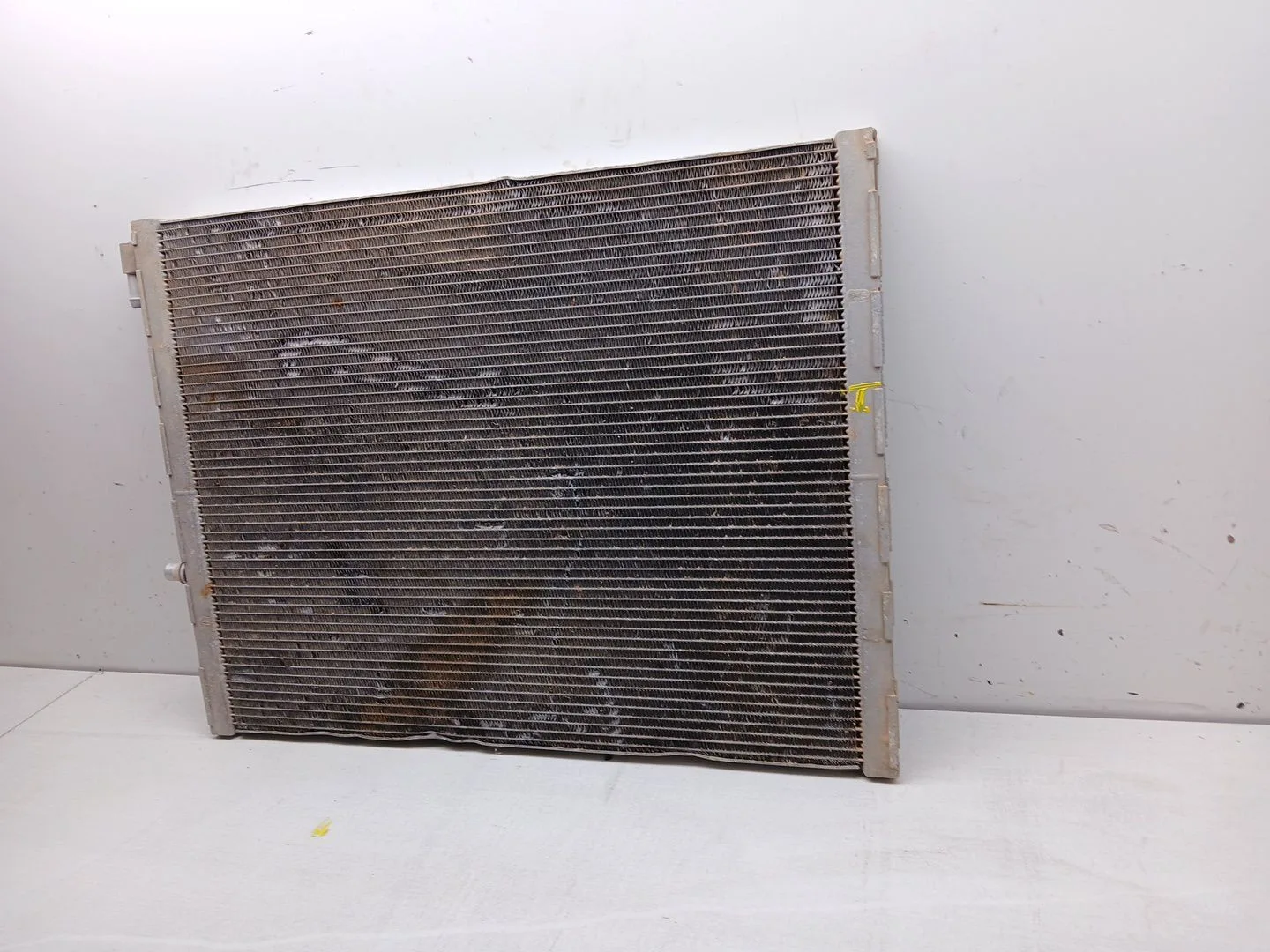 Radiador Agua para Bmw X6 (E71, E72)