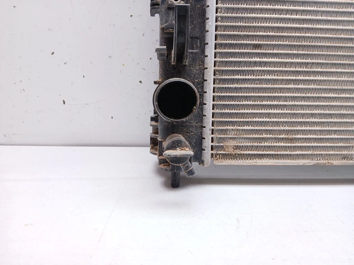 Radiador Agua para Renault Clio V (B7_)