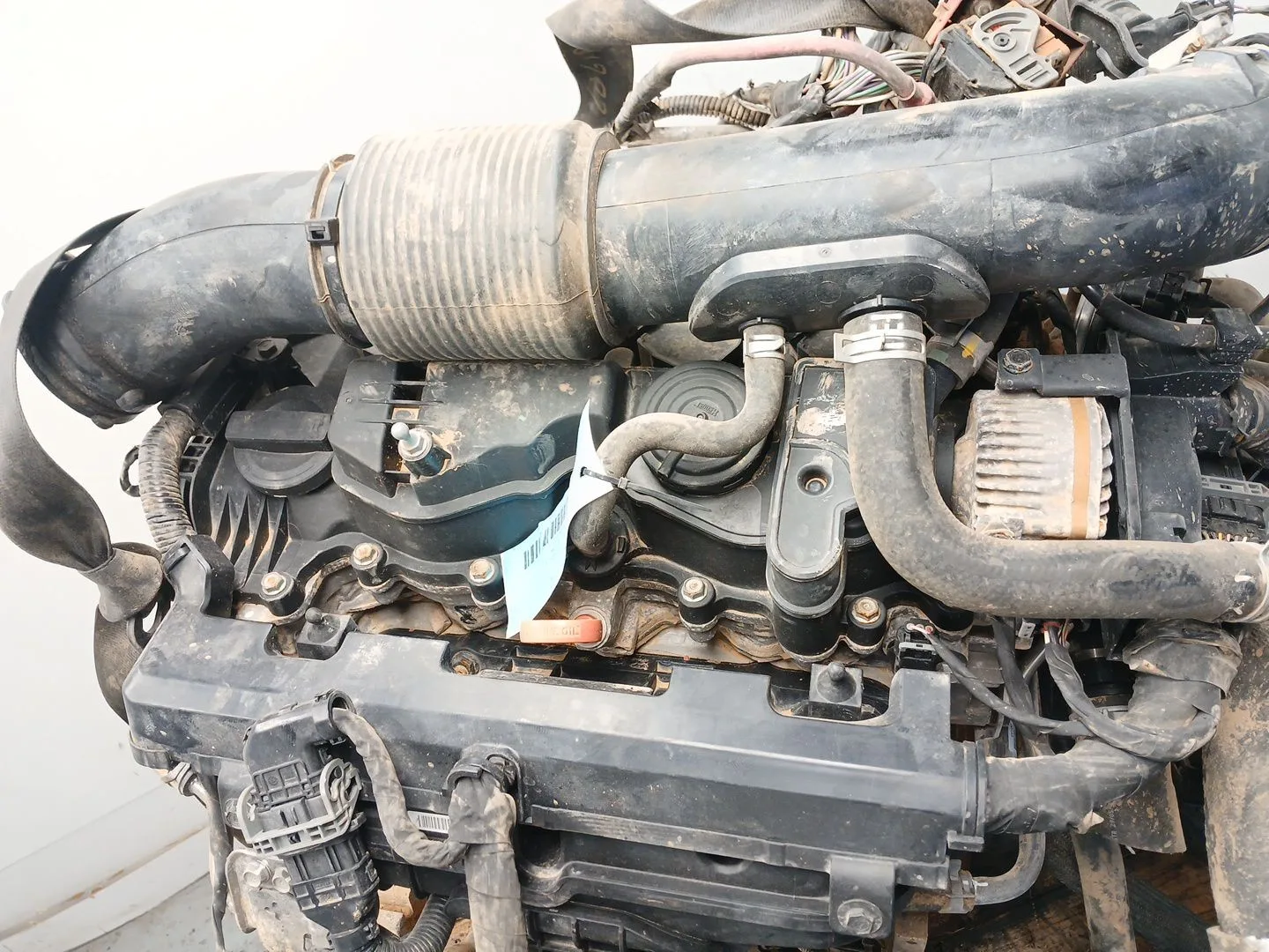 Despiece Motor para Kia Sportage V (Nq5)