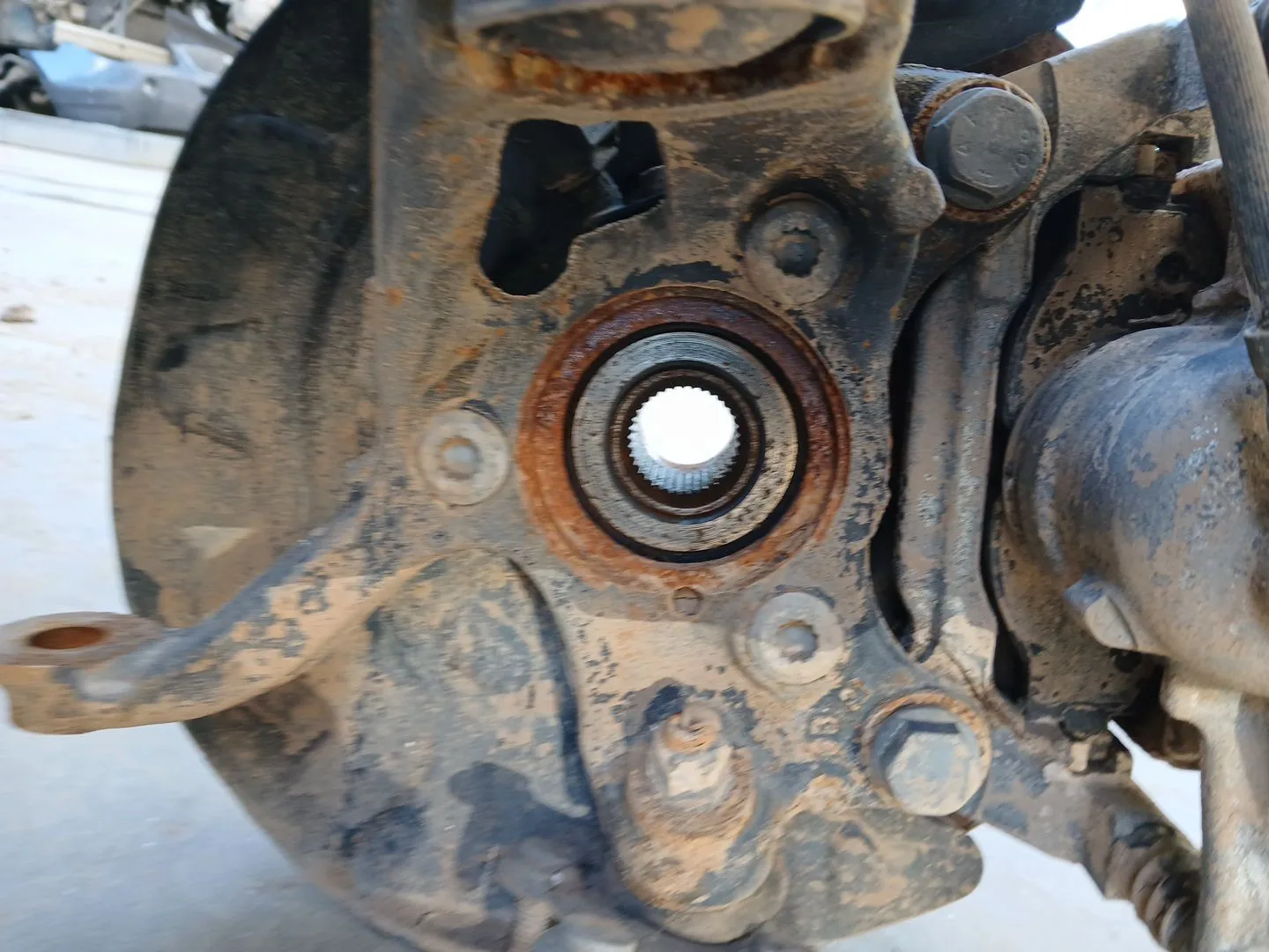 Mangueta Delantera Derecha para Audi Q2 (Gab, Gag)