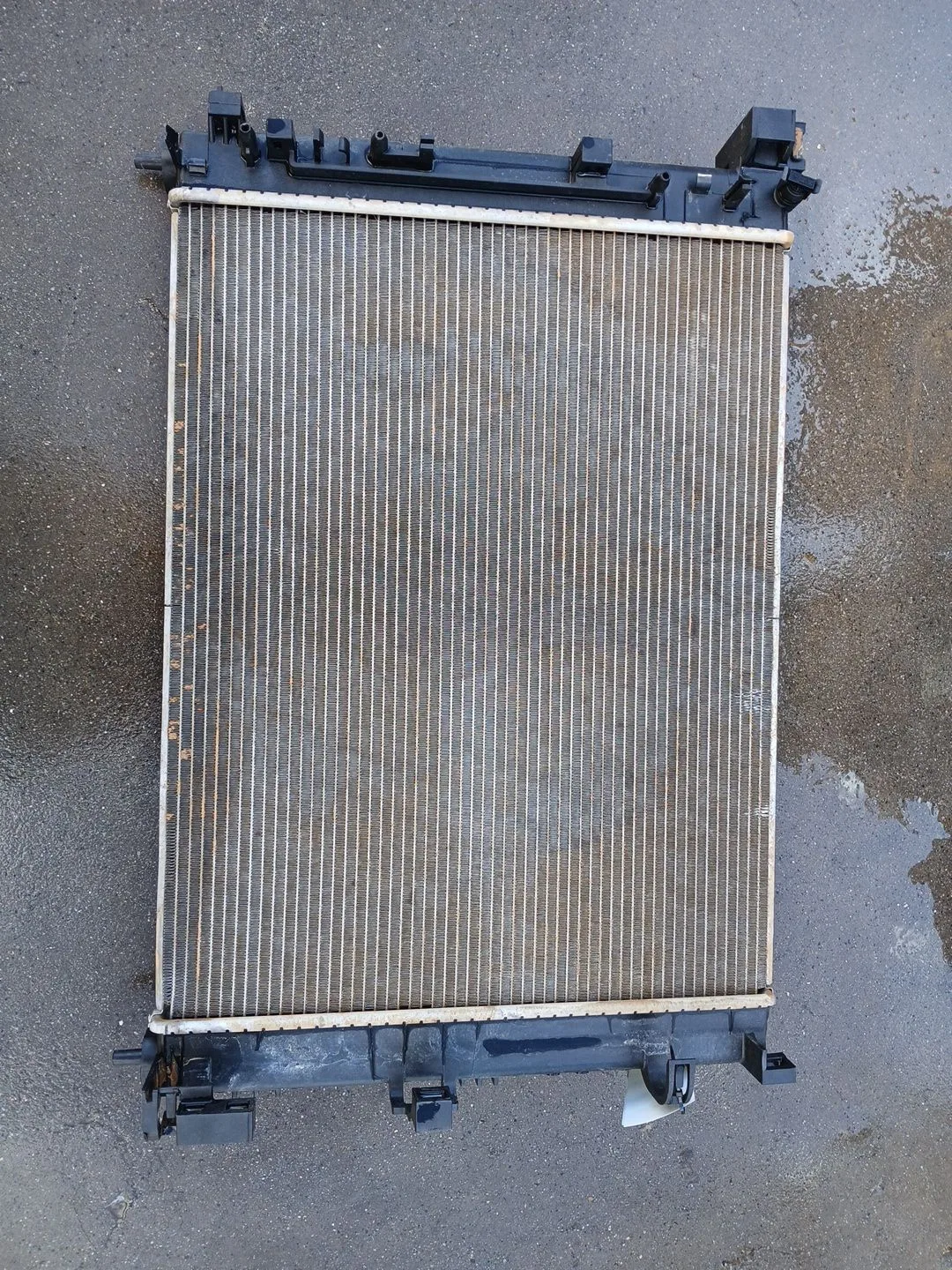 Radiador Agua para Renault Clio V (B7_)
