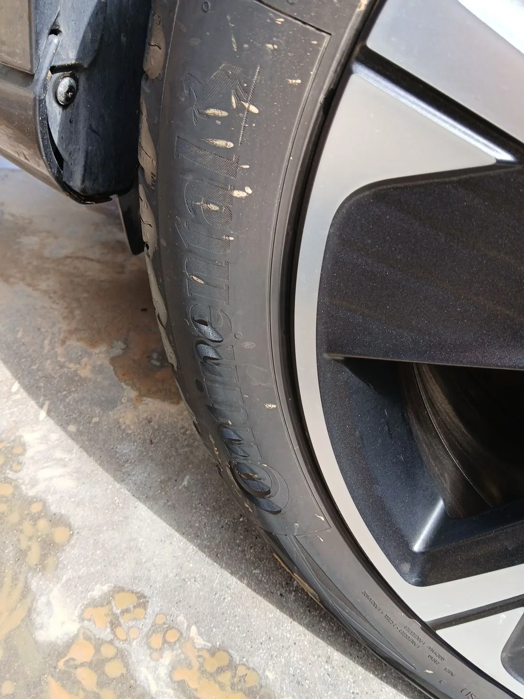 Neumatico para Cupra Formentor (Km7)