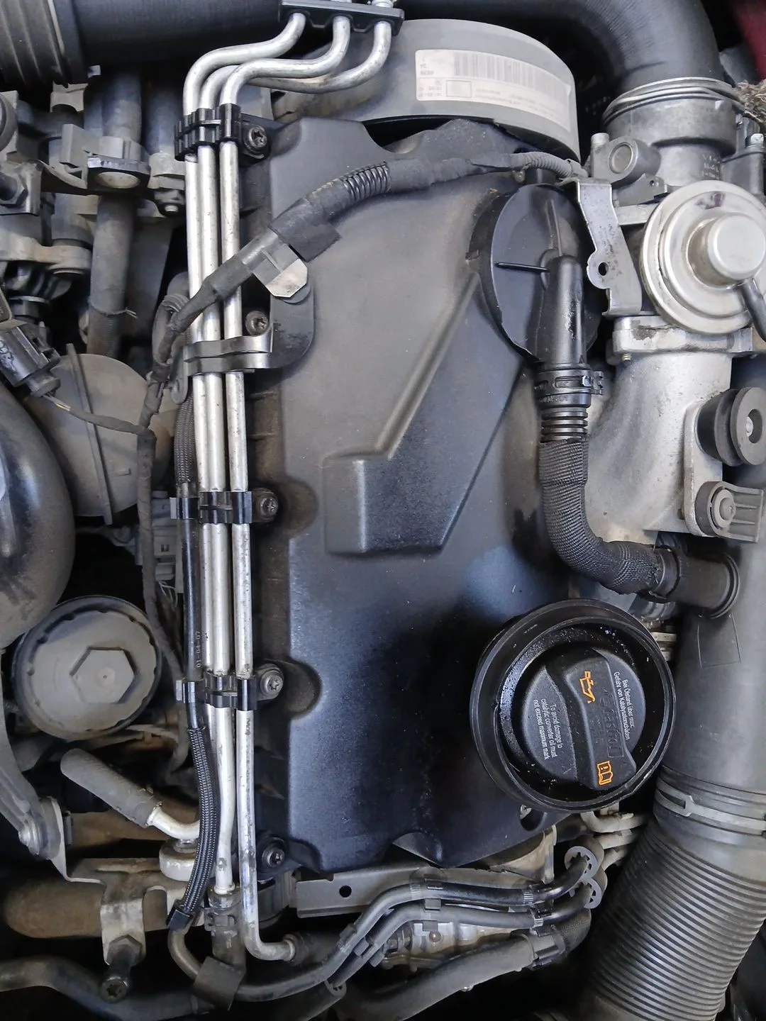 Despiece Motor para Volkswagen Golf V (1K1)