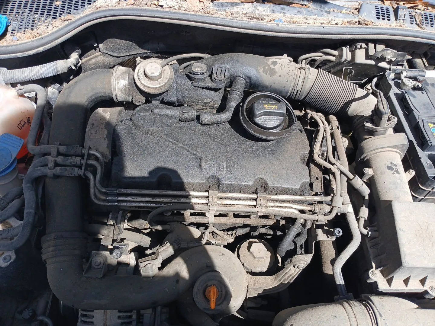 Despiece Motor para Skoda Octavia Ii (1Z3)