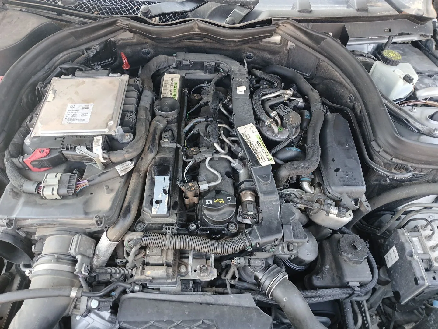 Despiece Motor para Mercedes-Benz Clase E Descapotable (A207)