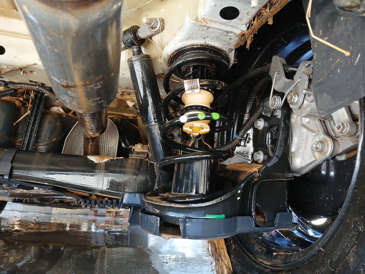 Puente Trasero para Peugeot Rifter