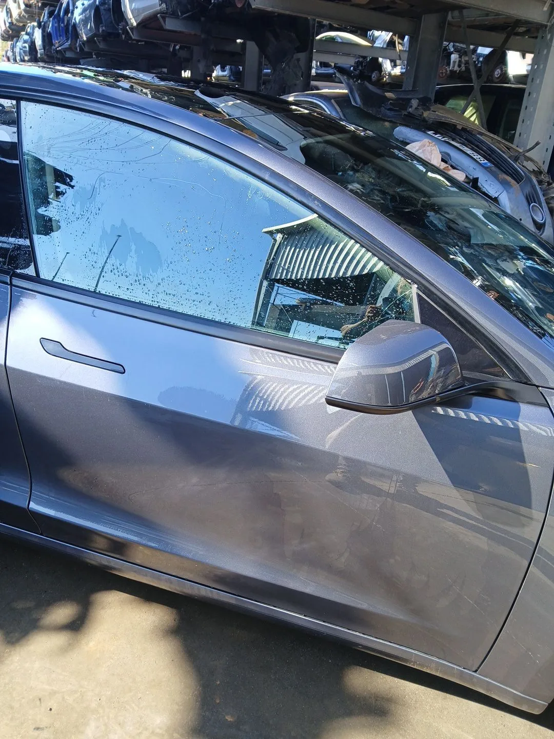 Puerta Delantera Derecha para Tesla Model 3