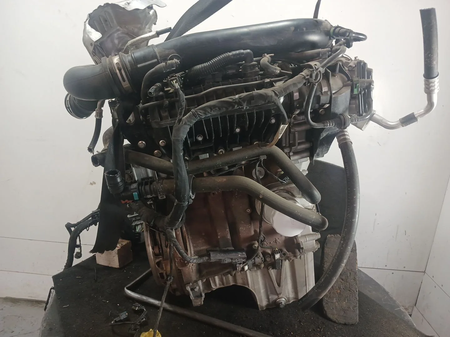 Despiece Motor para Ford Fiesta Vii (Hj, Hf)