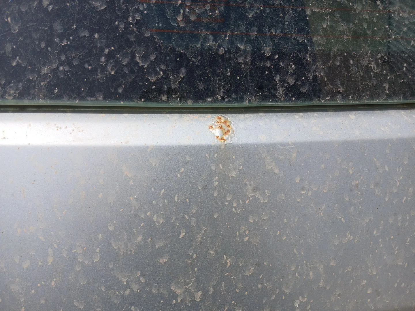 Porton Trasero para Chrysler 300C (Lx, Le)