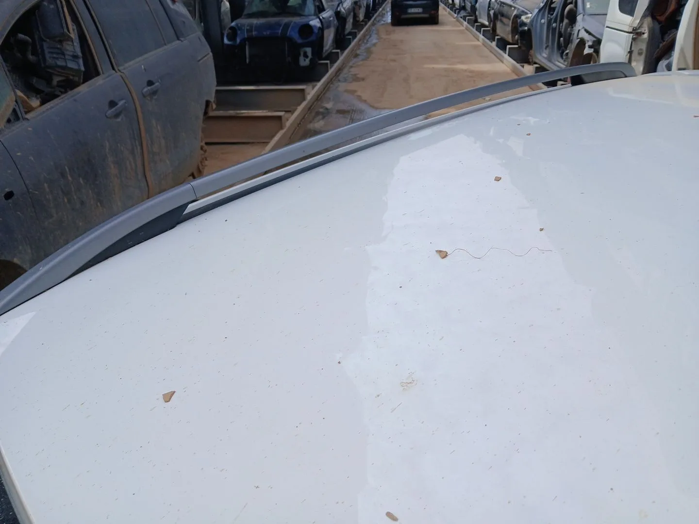 Barras Techo para Citroën C5 Iii Break (Rw_)