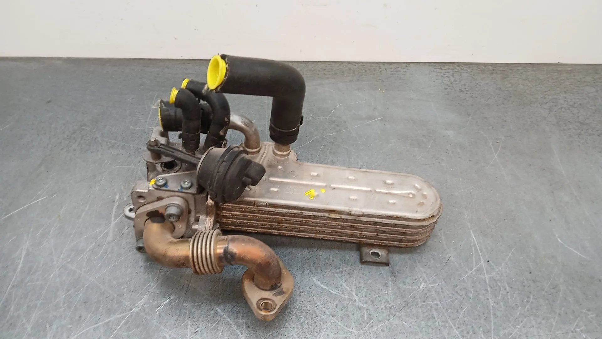 Valvula Egr para Volkswagen Passat Berlina (3C2)
