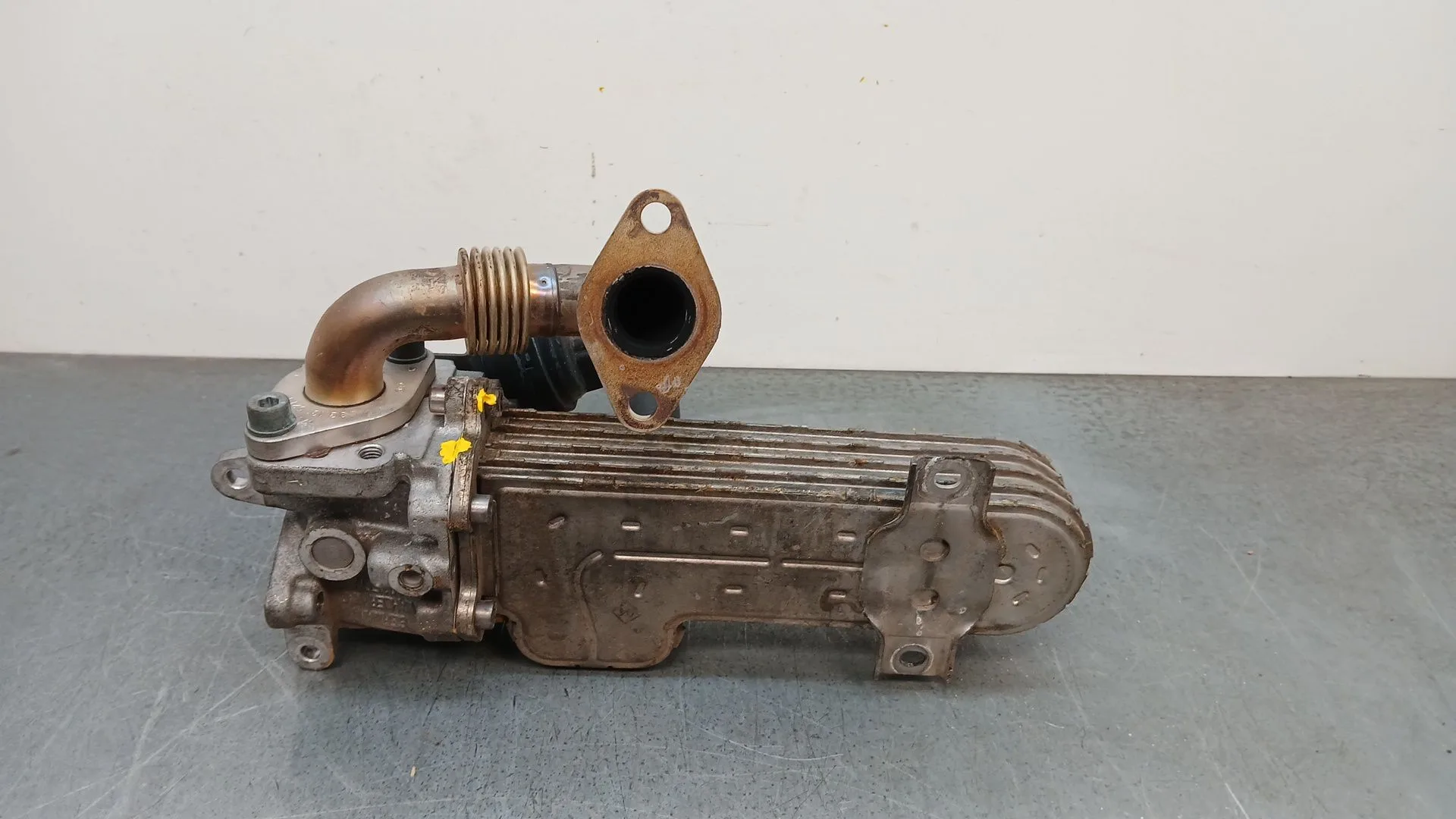 Valvula Egr para Volkswagen Passat Berlina (3C2)
