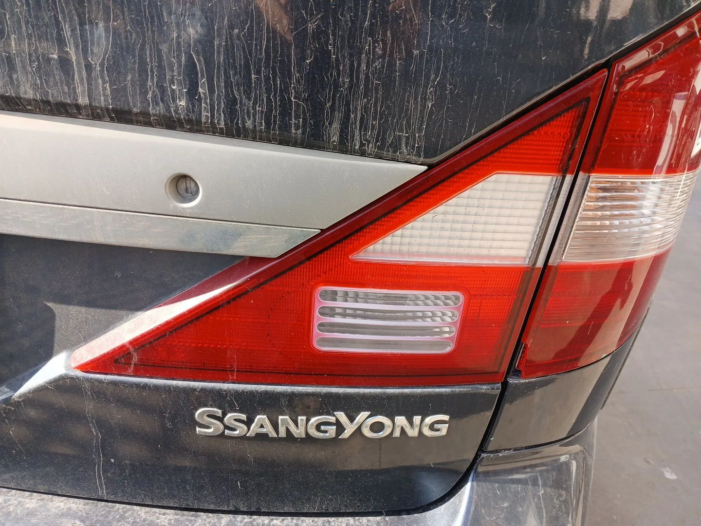 Piloto Trasero Derecho Interior para Ssangyong Rodius I