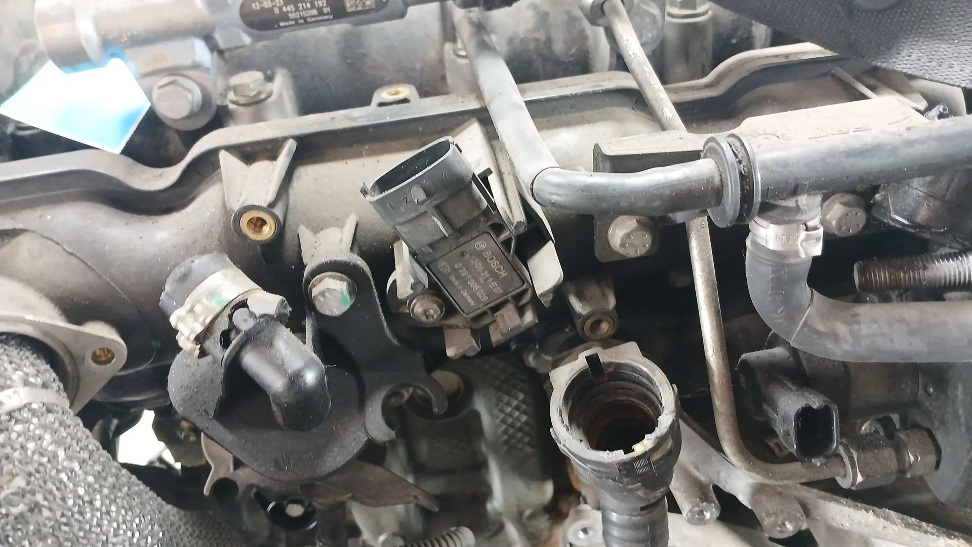 Despiece Motor para Fiat Bravo Ii (198_)