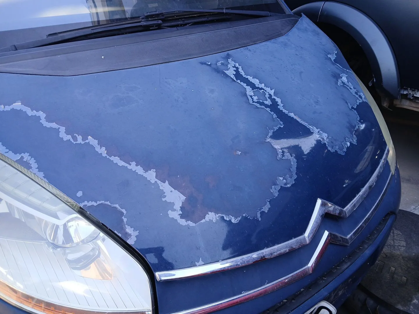 Capot para Citroën C4 Picasso I Monospace (Ud_)