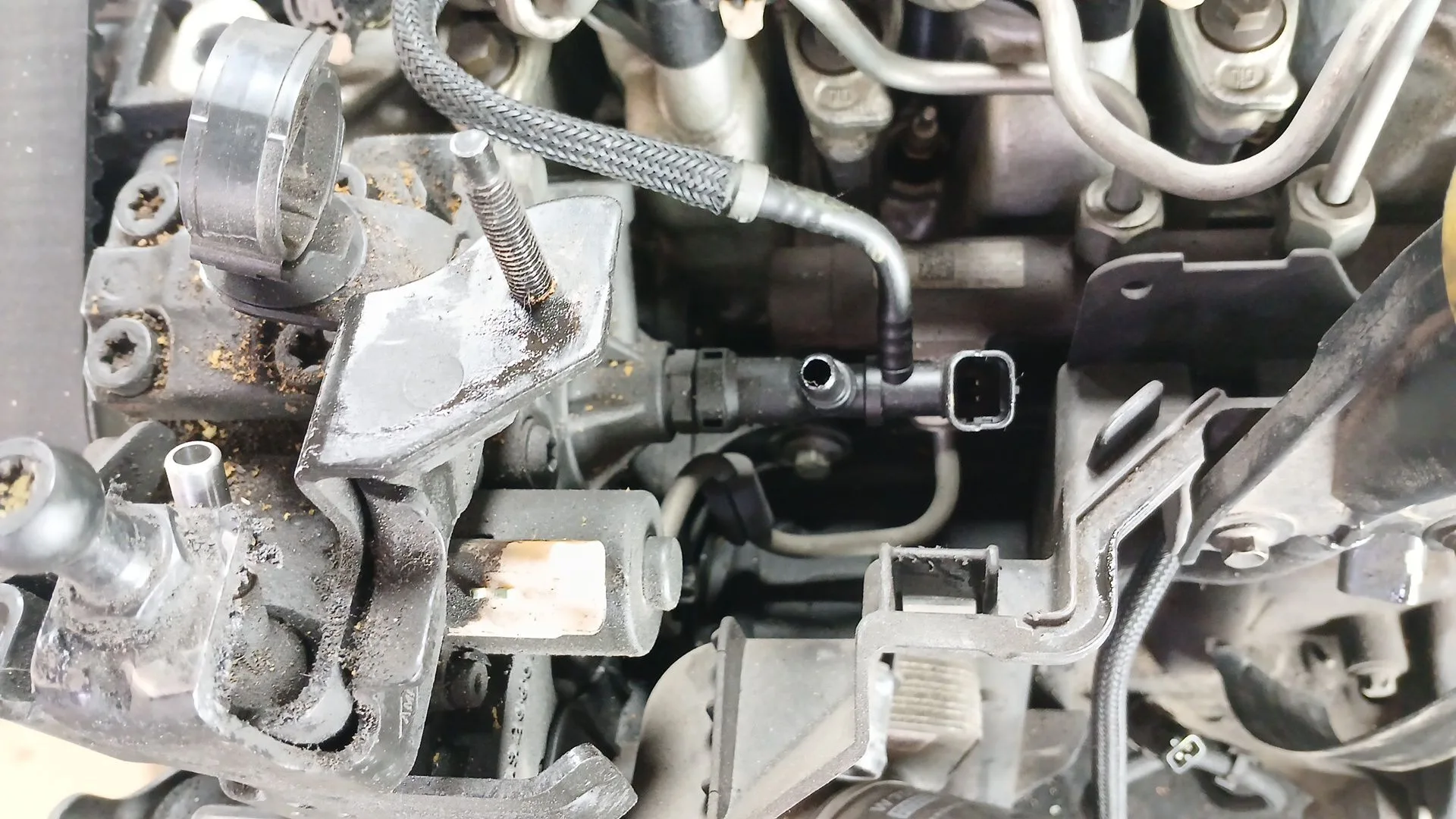 Despiece Motor para Nissan Qashqai I (J10, Nj10)