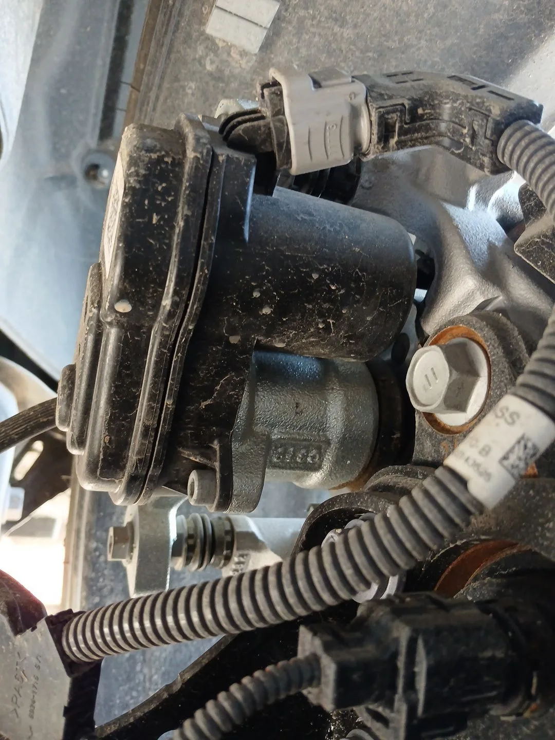 Pinza Freno Trasera Derecha para Toyota Yaris (_P21_, _Pa1_, _Ph1_)