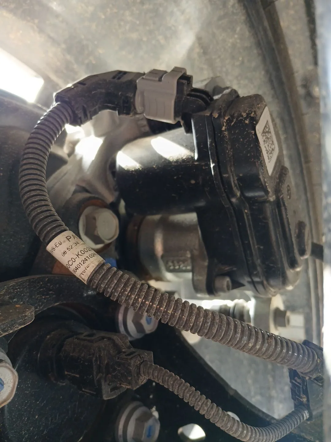 Pinza Freno Trasera Izquierda para Toyota Yaris (_P21_, _Pa1_, _Ph1_)