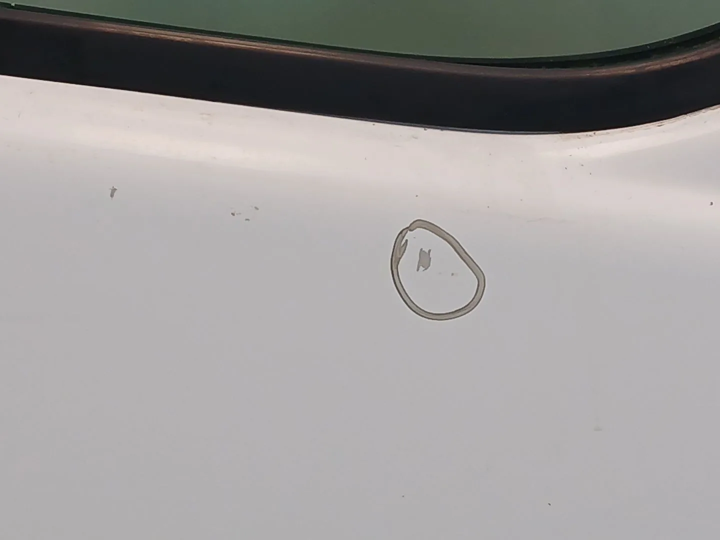 Puerta Delantera Derecha para Nissan Primastar Furgoneta (X83)