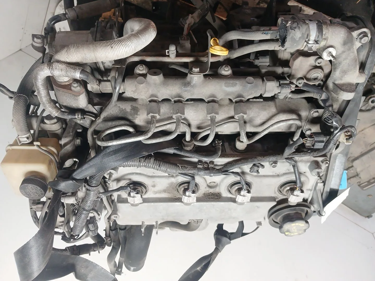 Despiece Motor para Mazda 6 Hatchback (Gg)