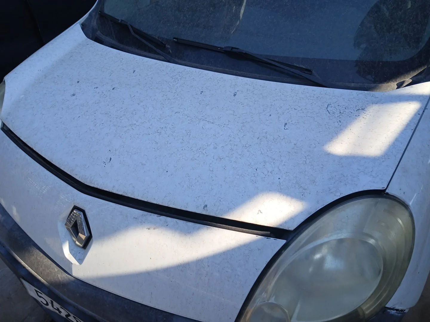 Capot para Renault Kangoo / Grand Kangoo Ii (Kw0/1_)