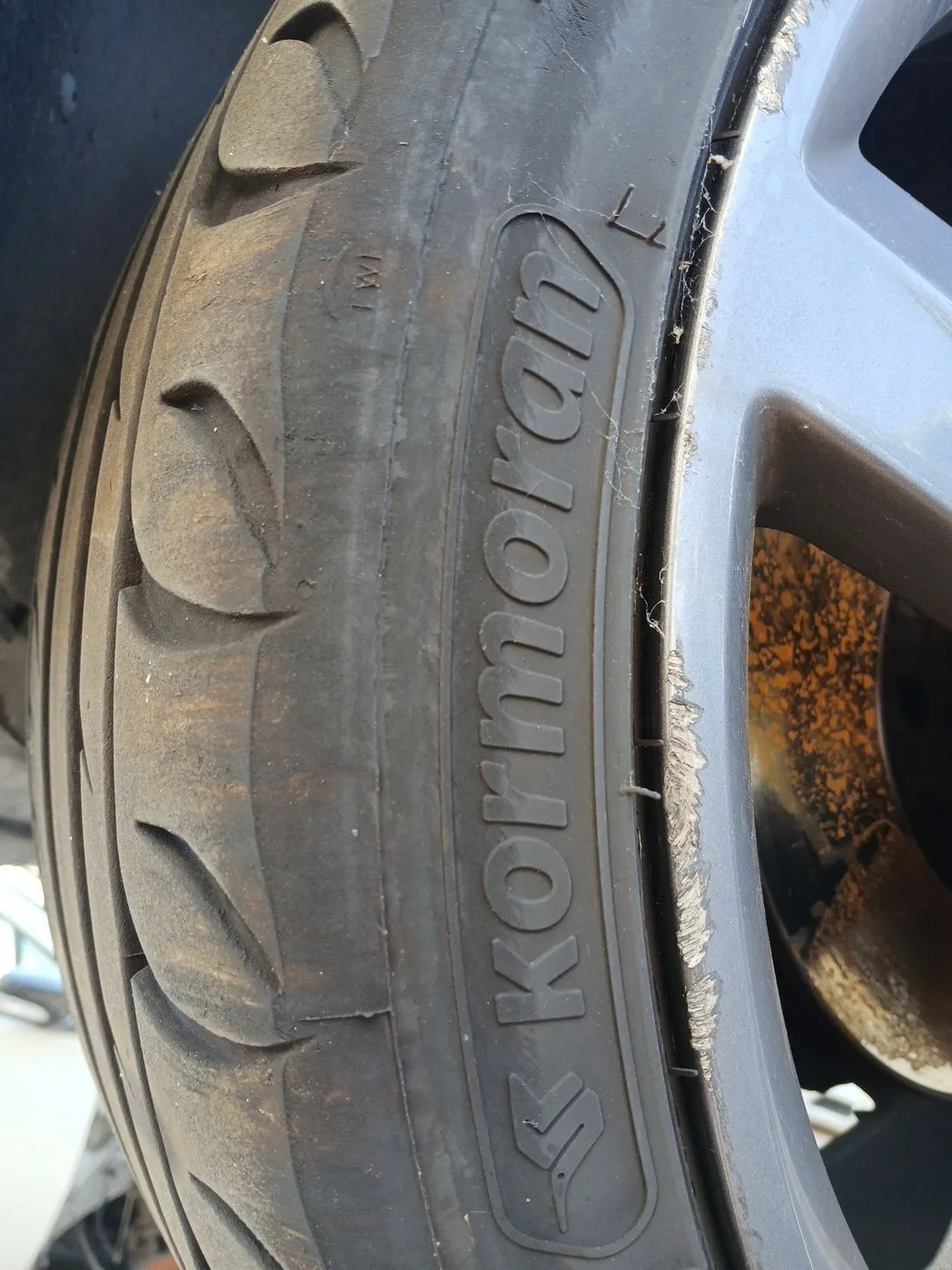 Neumatico para Seat Exeo St (3R5)