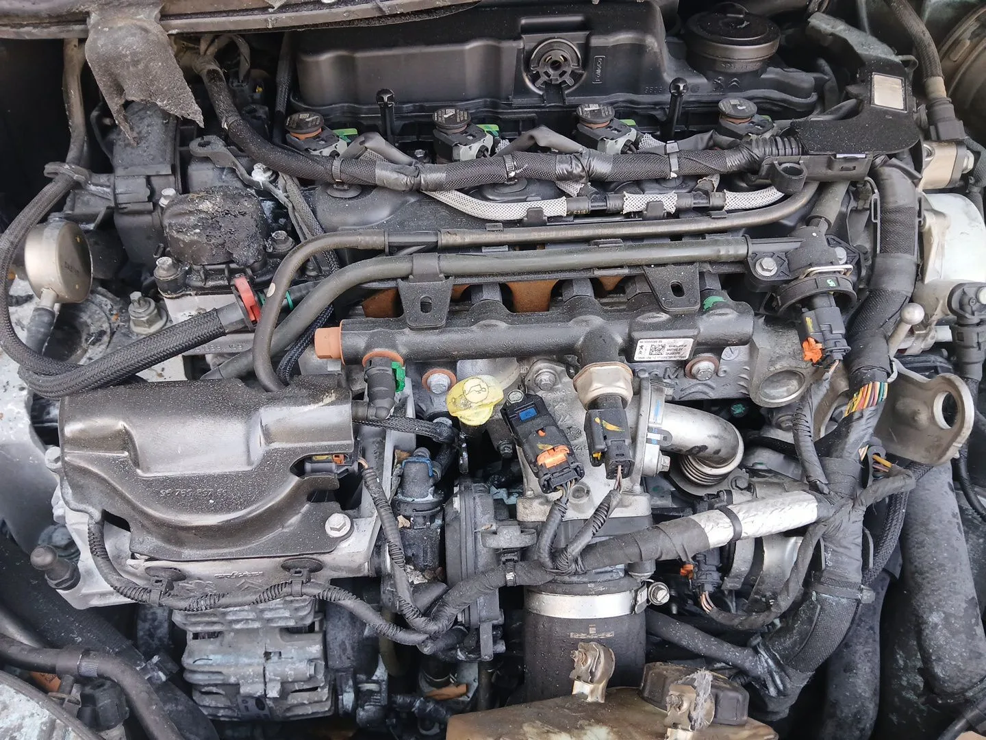 Motor Completo para Ford Kuga Ii (Dm2)