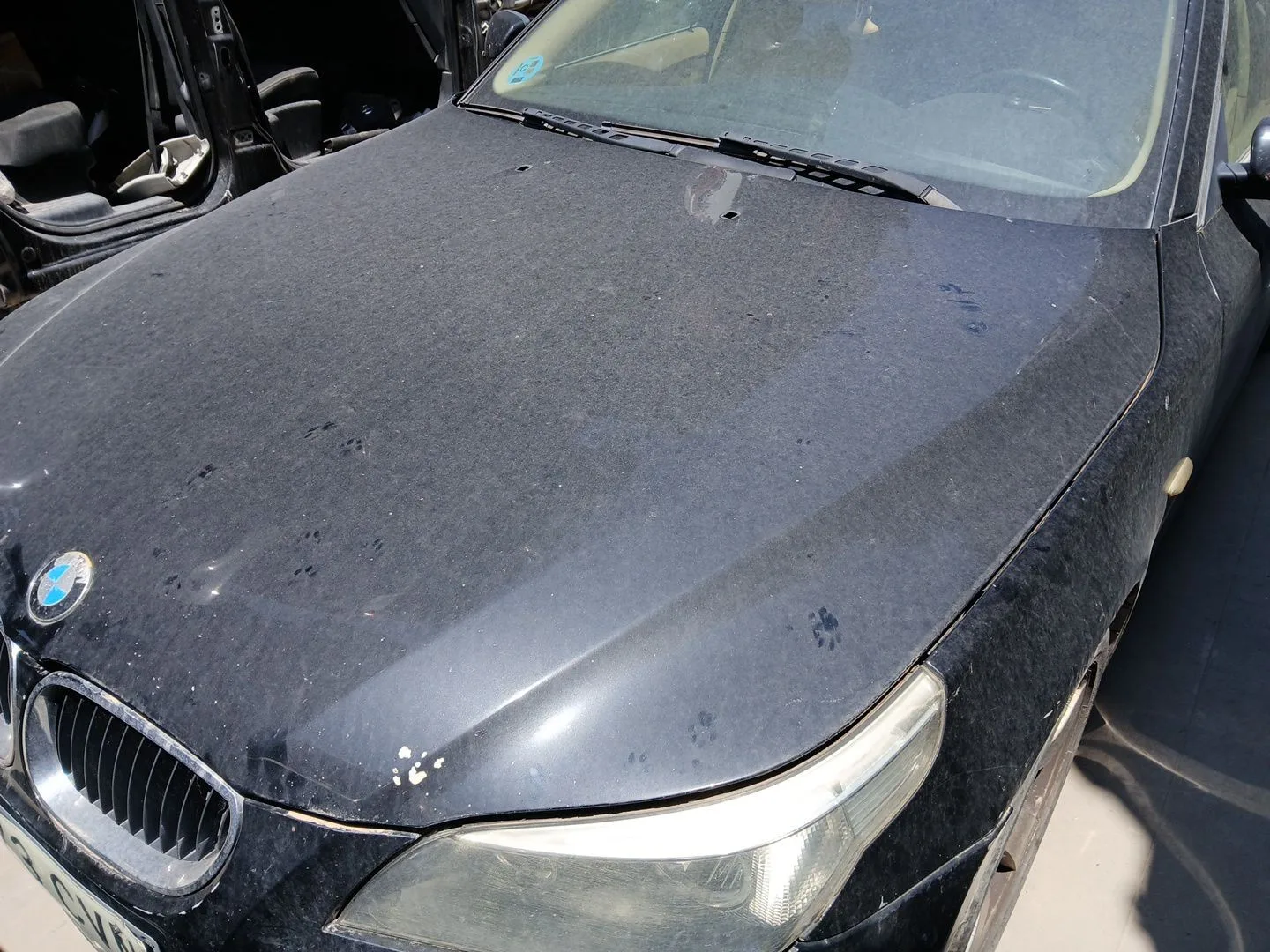 Capot para Bmw 5 (E60)