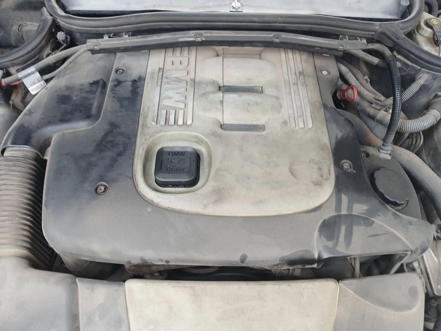 Motor Completo para Bmw 3 Touring (E46)