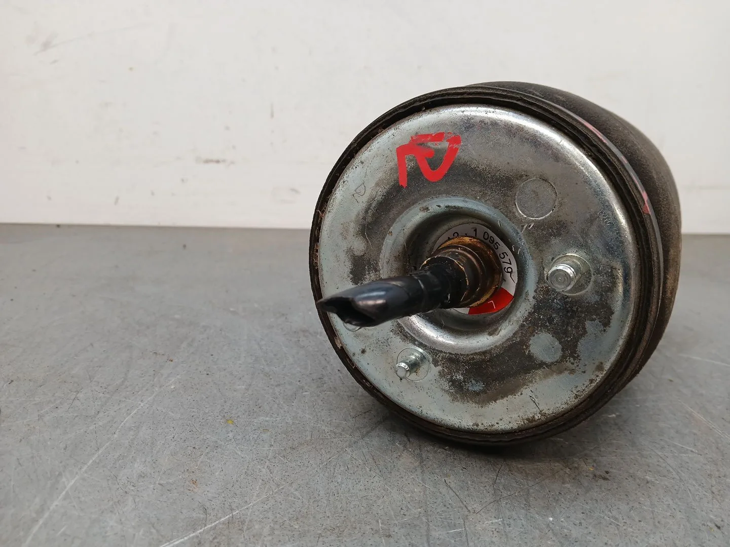 Amortiguador Trasero Izquierdo para Bmw X5 (E53)