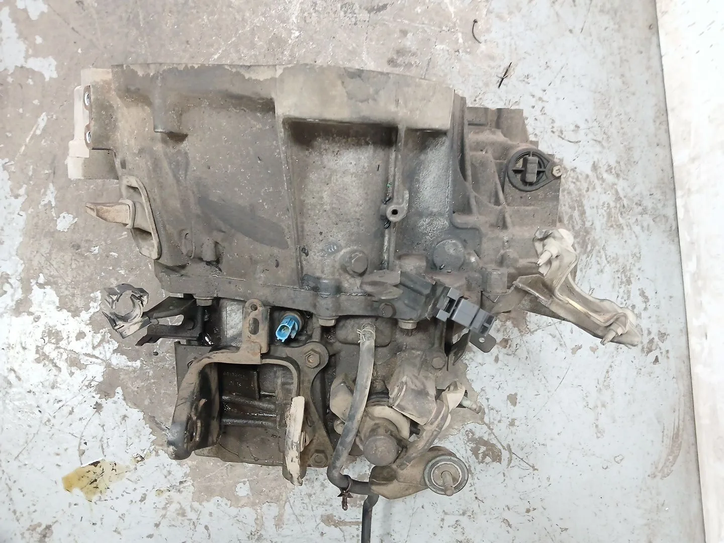 Caja Cambios para Nissan Primera Hatchback (P12)