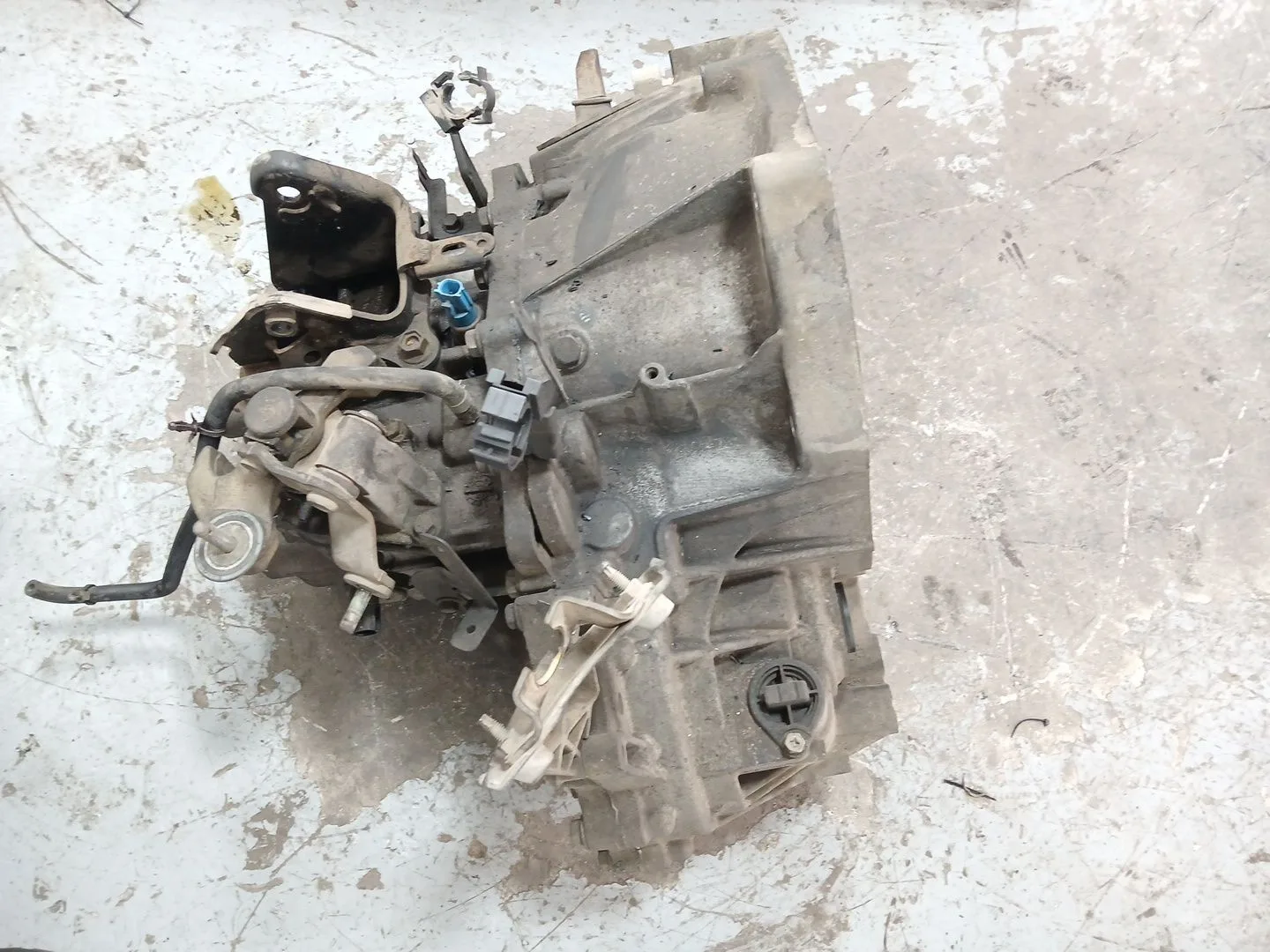 Caja Cambios para Nissan Primera Hatchback (P12)