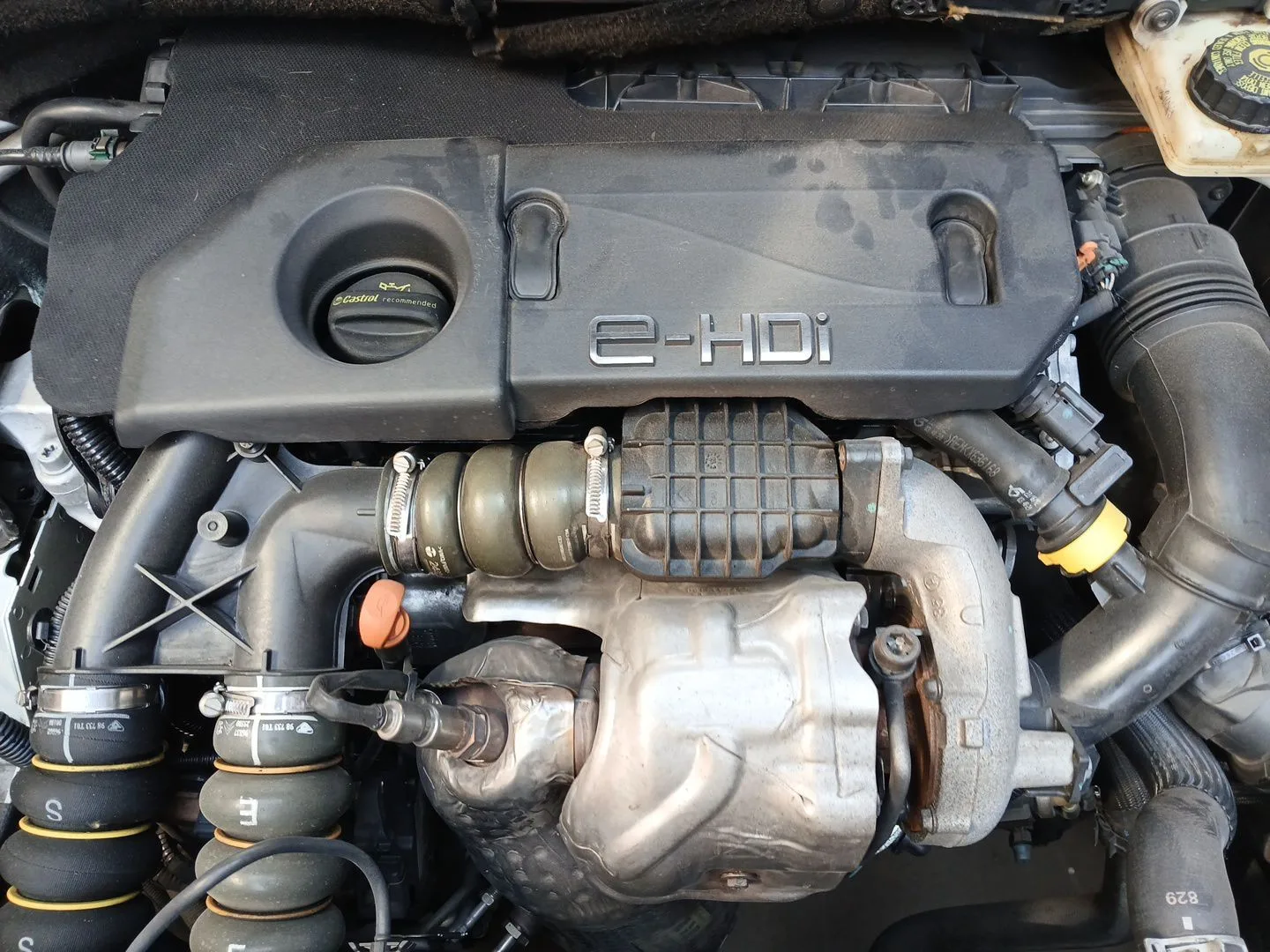 Motor Completo para Peugeot 308 I (4A_, 4C_)