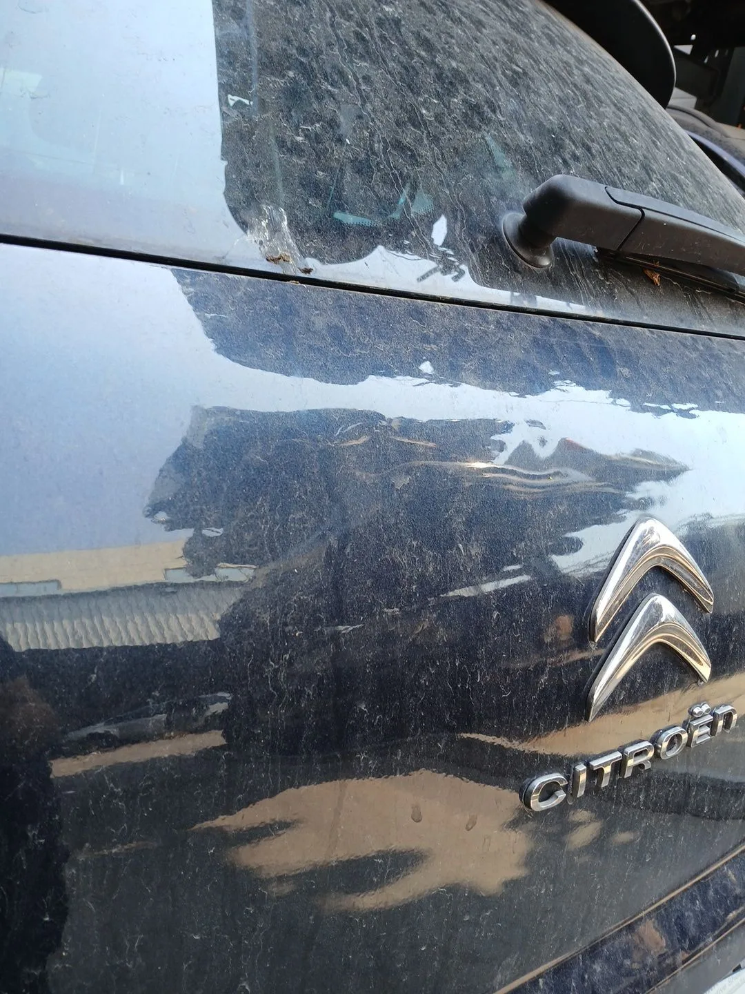 Porton Trasero para Citroën C4 Ii (Nc_)