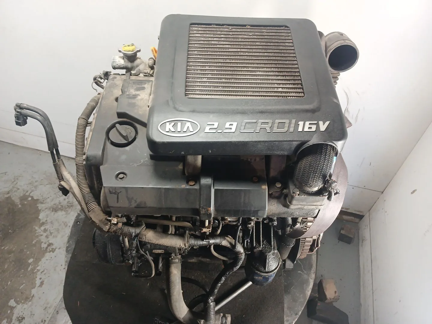 Despiece Motor para Kia Carnival Ii (Gq)