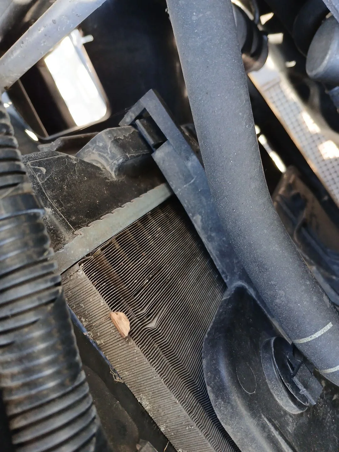 Radiador Agua para Nissan Qashqai I (J10, Nj10)