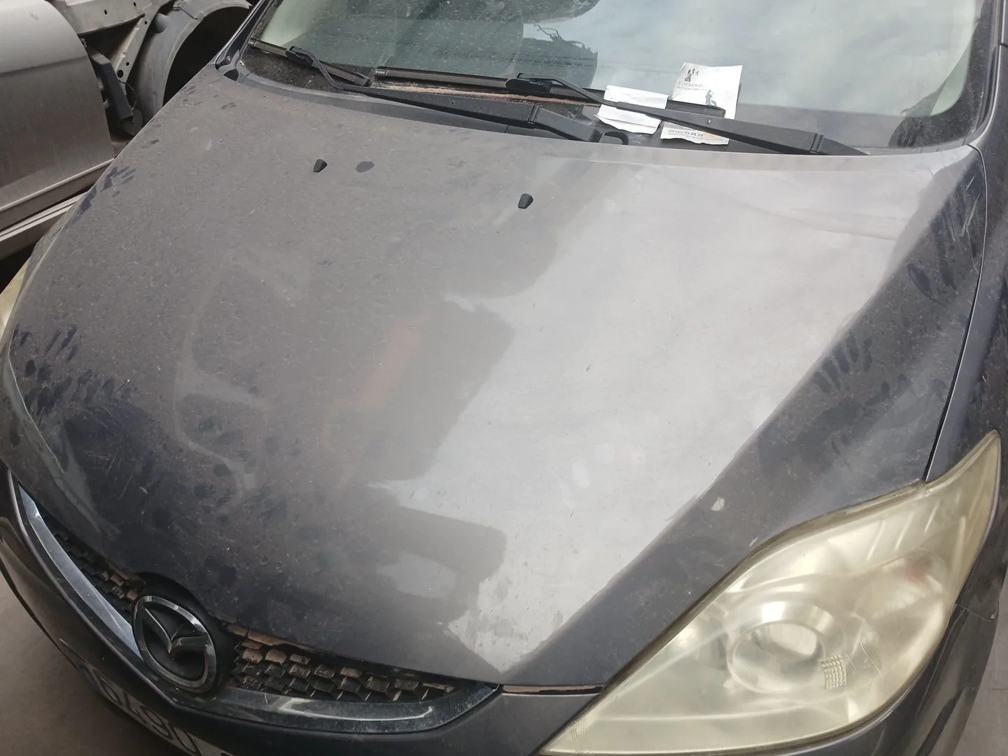 Capot para Mazda 5 (Cr)