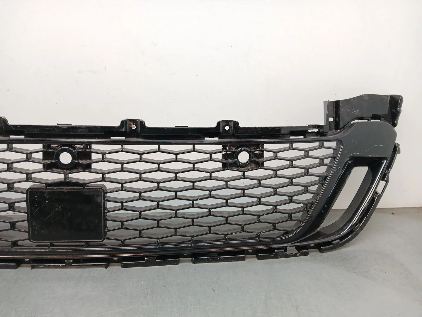 Rejilla Paragolpes Delantero para Land Rover Discovery V Van (L462)