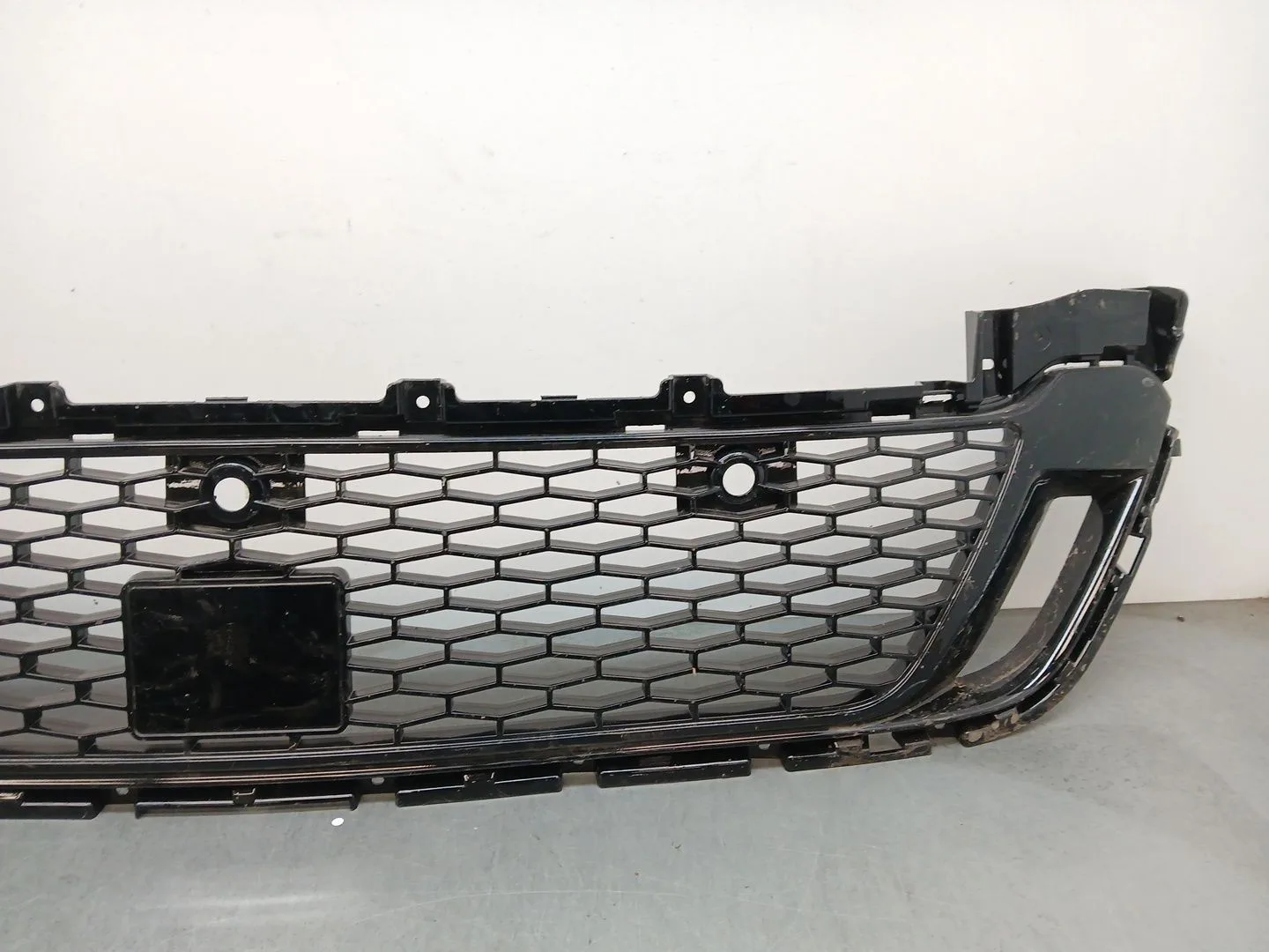 Rejilla Paragolpes Delantero para Land Rover Discovery V Van (L462)