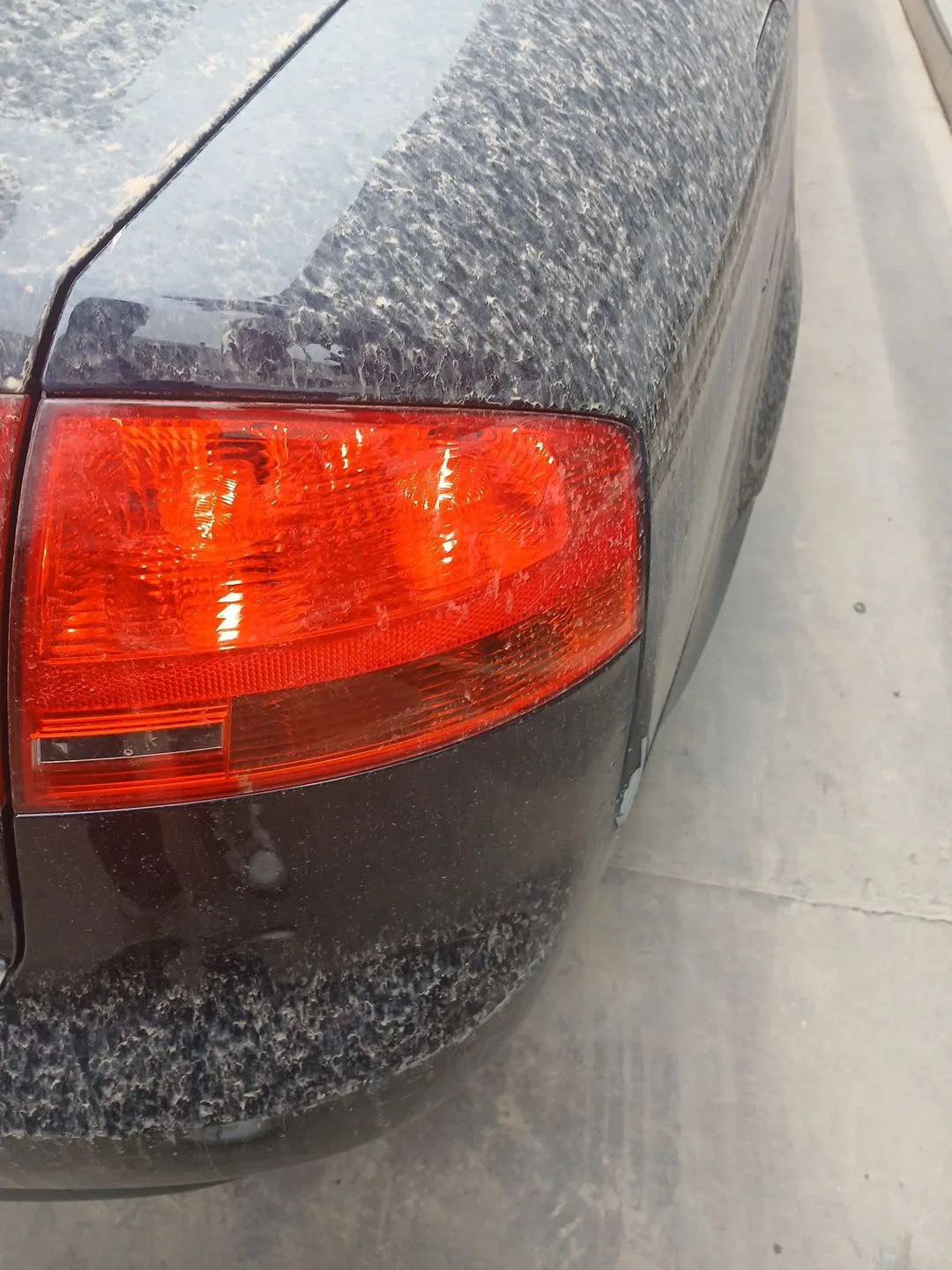 Piloto Trasero Derecho para Audi A4 B7 (8Ec)