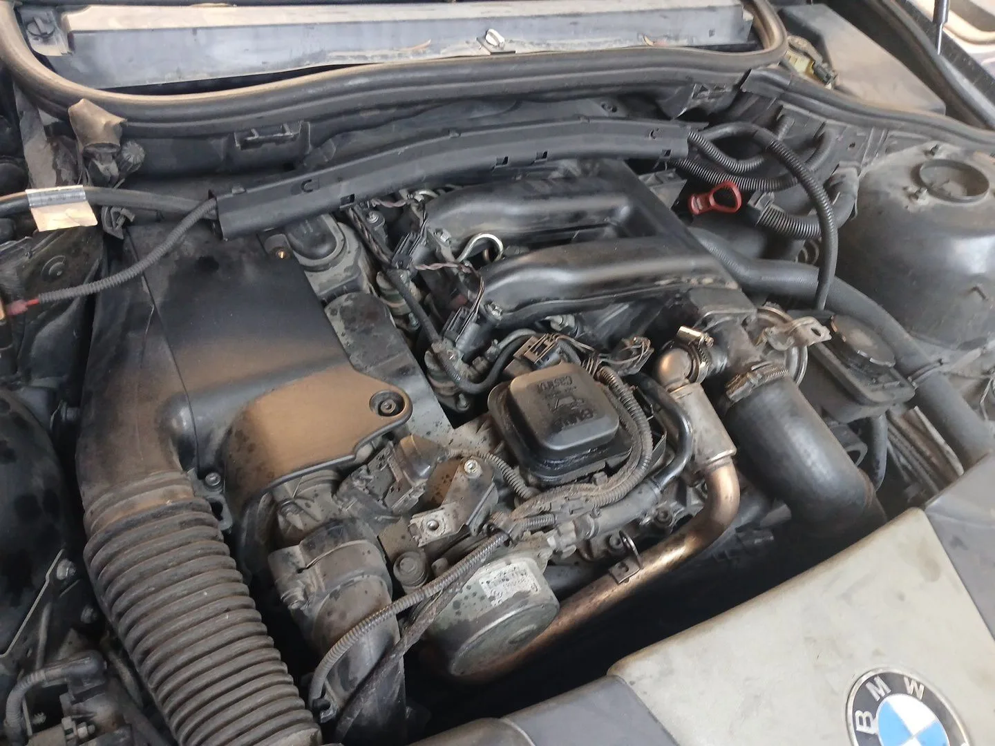 Despiece Motor para Bmw 3 Touring (E46)