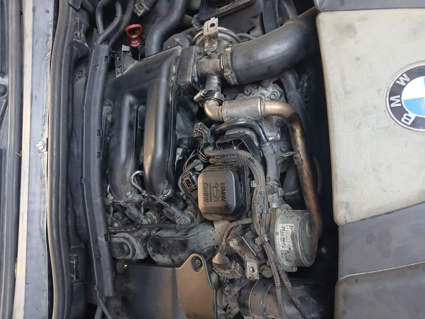 Despiece Motor para Bmw 3 Touring (E46)
