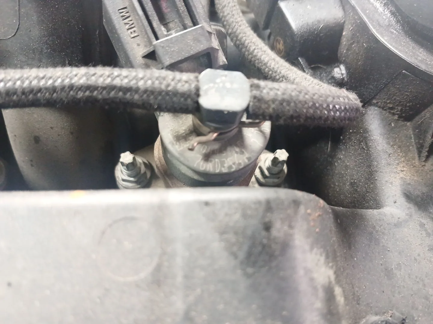 Despiece Motor para Bmw 3 Touring (E46)