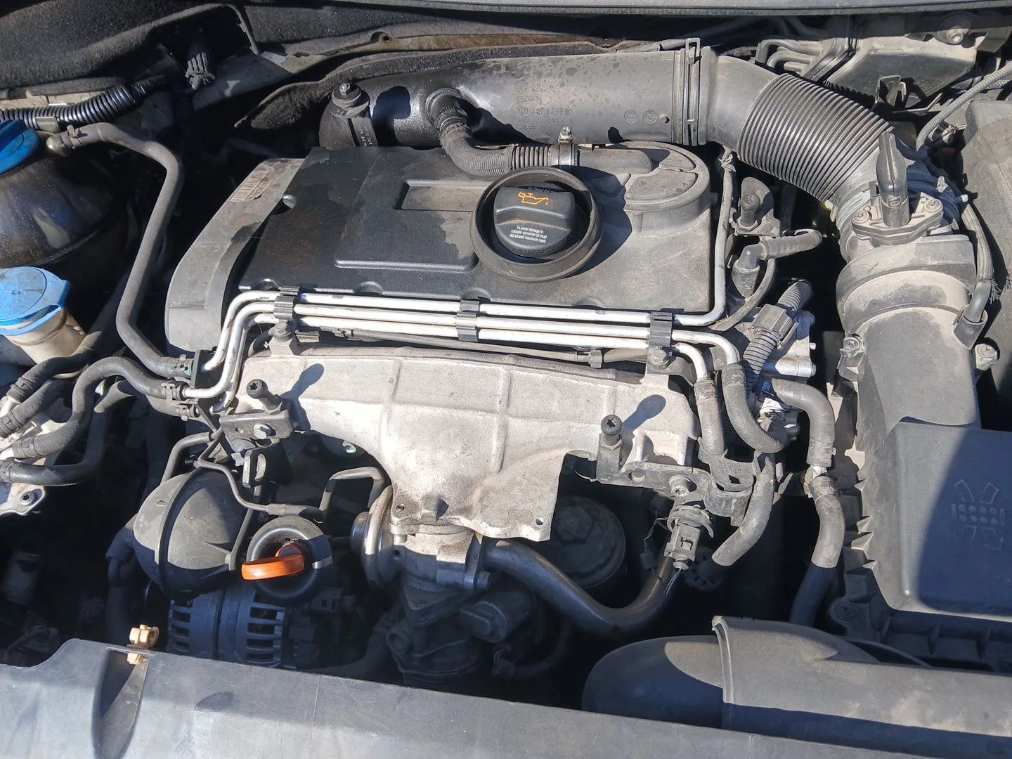 Despiece Motor para Seat Toledo Iii (5P2)