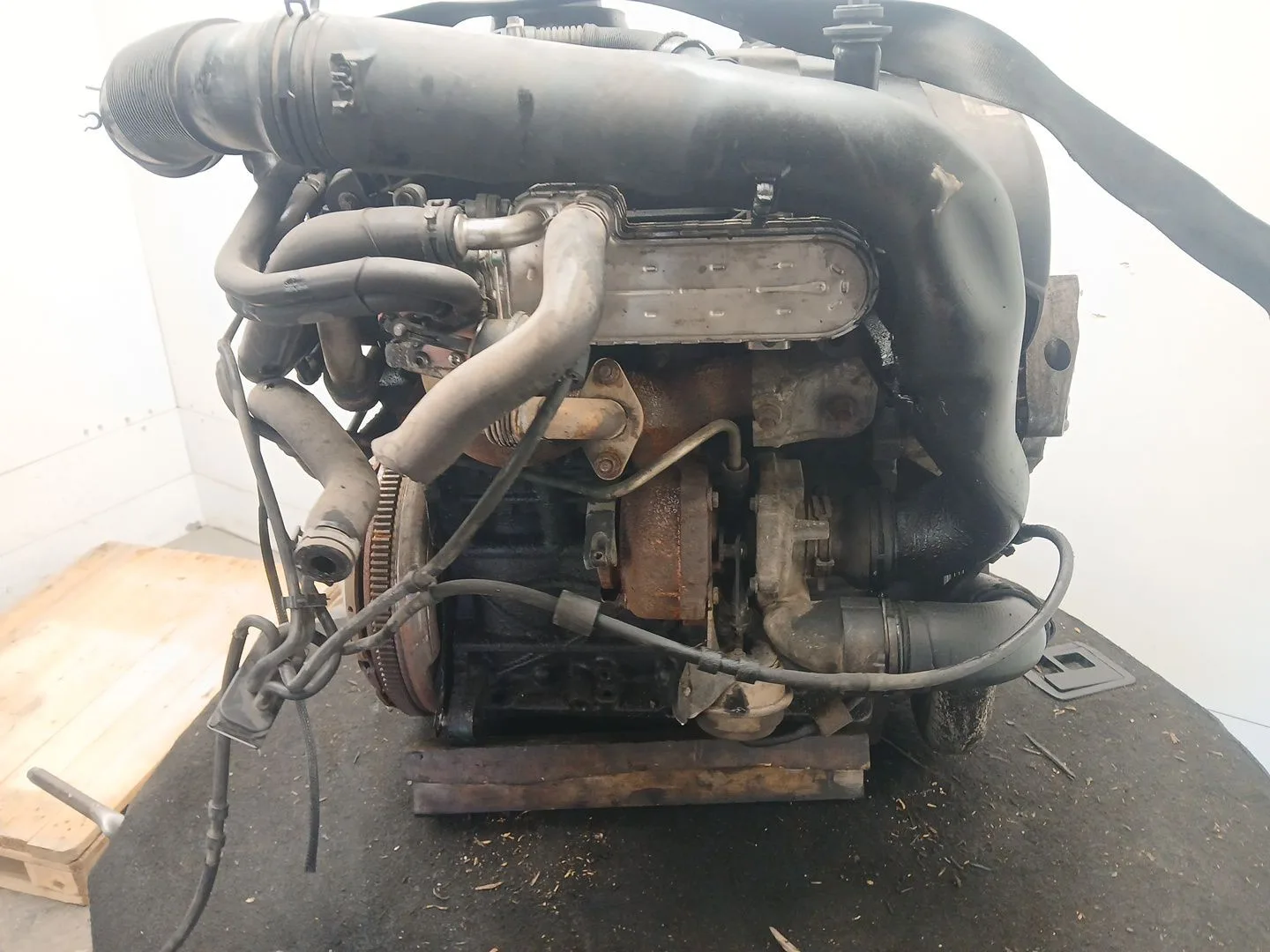 Despiece Motor para Seat Toledo Iii (5P2)
